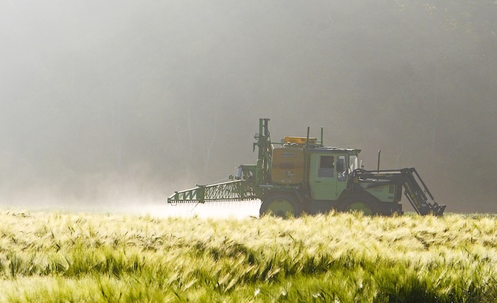 Glyphosat - neuesst Studienergebnisse sind alarmierend