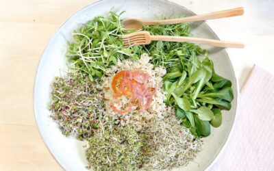 Enzymreicher Quinoa-Salat