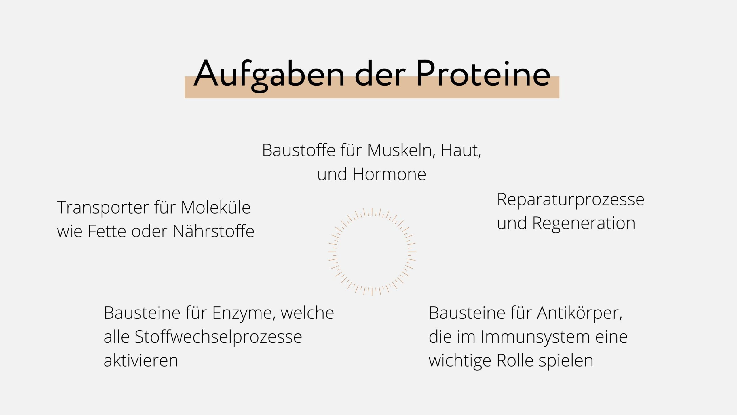 Aufgaben der Proteine