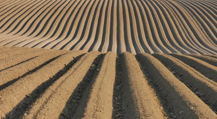 Glyphosat und Umwelt