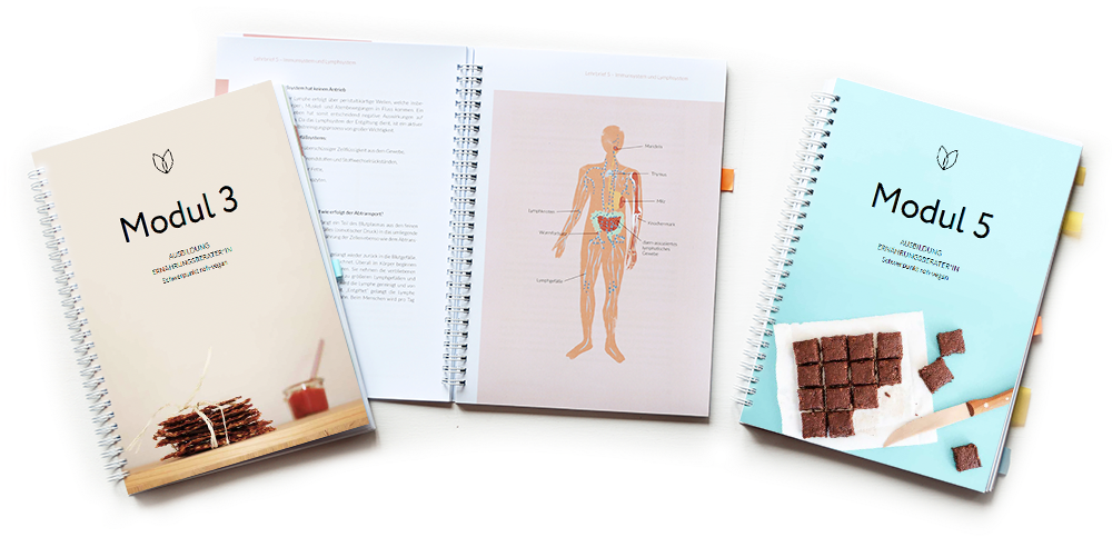 Ausbildungsunterlagen Ernährungsberater vegan